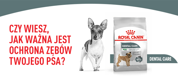 kuivtoit täiskasvanud väikeste tõugude koertele, vähendab hambakivi teket